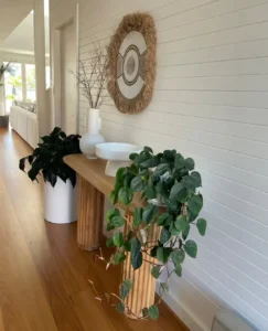 Entryway Plants Indoor