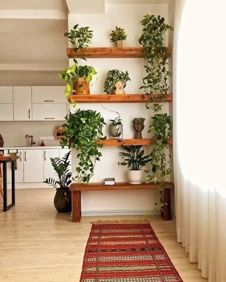 Indoor Plant Display