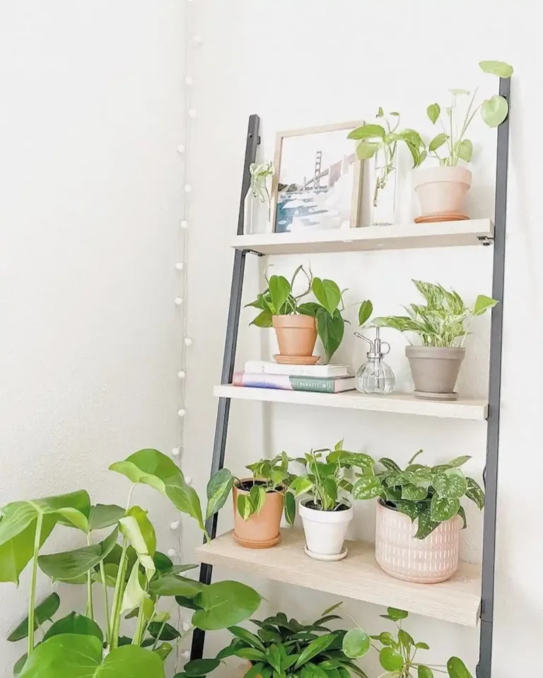 ways to Display Plants