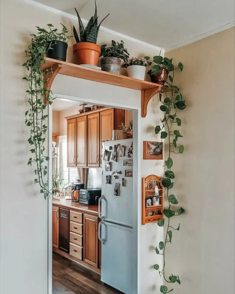 Hanging Plants Indoor