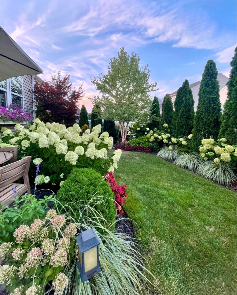 Hydrangea Garden Ideas