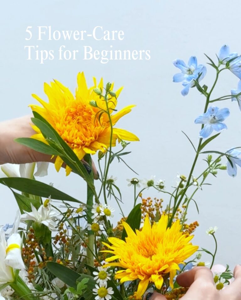 Flower Care Tips