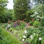 Perennial Landscaping Ideas