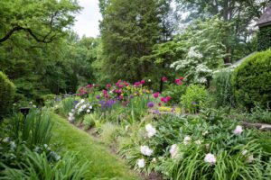 Perennial Landscaping Ideas