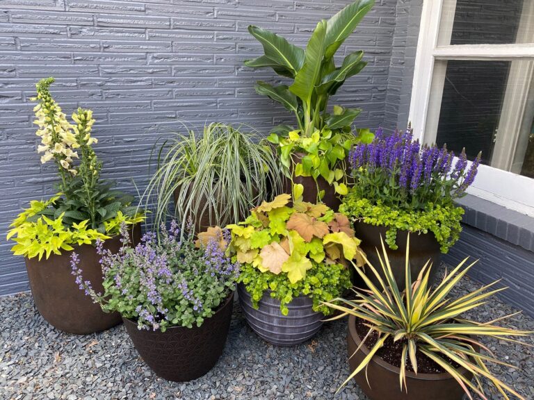 Front Yard Planter Ideas