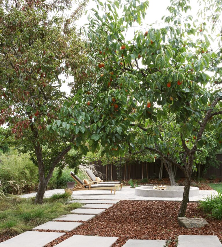 Fruit Trees Backyard Design Ideas