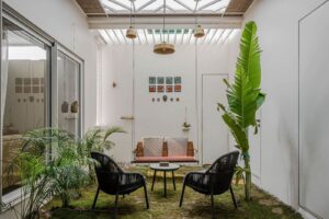 Indoor Courtyard Garden Ideas