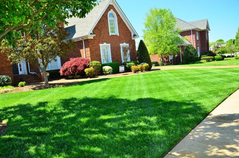 Lawn Care Ideas