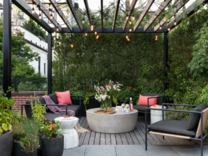 Modern Pergola Patio