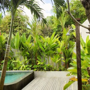 Tropical Courtyard Ideas