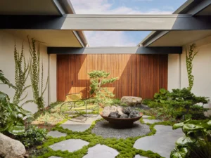 Zen Courtyard Ideas