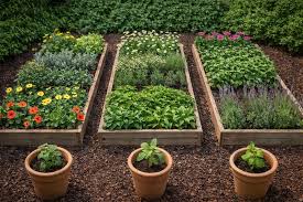 Herb Garden Design Ideas