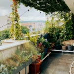 Small Terrace Garden Ideas