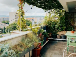 Small Terrace Garden Ideas