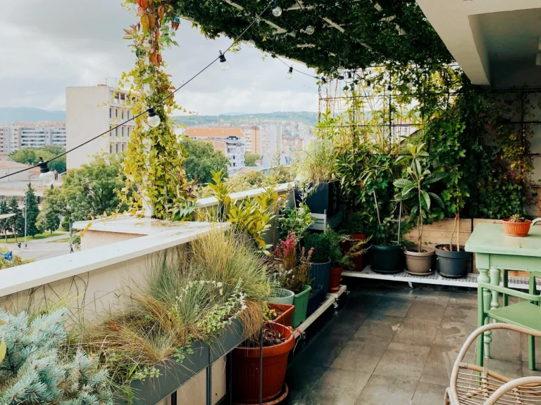 Small Terrace Garden Ideas
